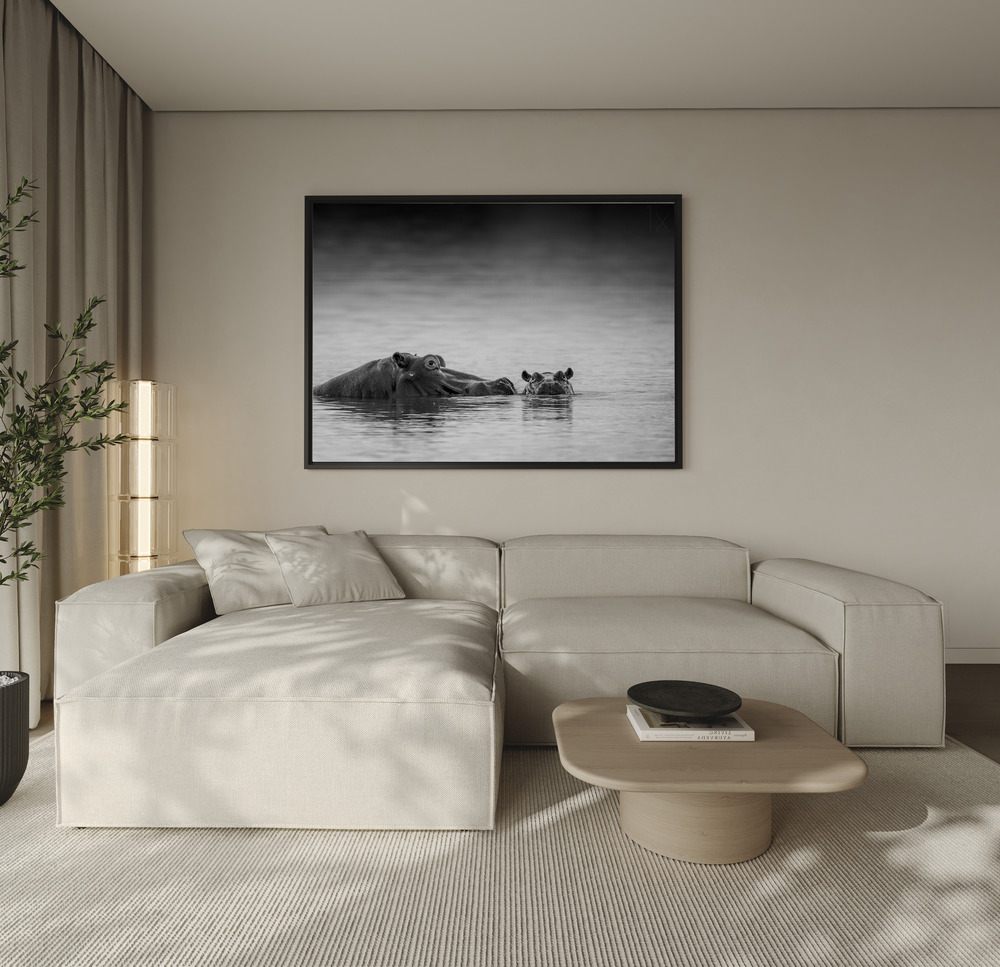 Canvas print - Eye level over the sofa