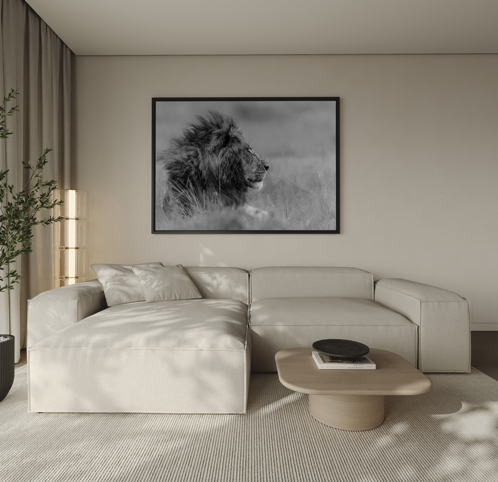 Canvas print - The king is alone over the sofa