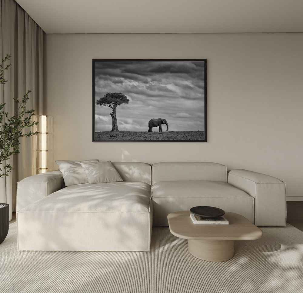 Canvas print - Elephant Landscape over the sofa