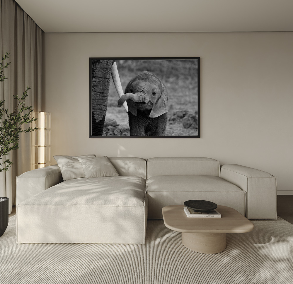 Canvas print - Close over the sofa