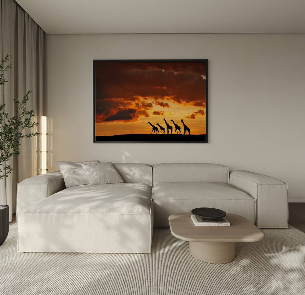 Canvas print - Five Giraffes over the sofa