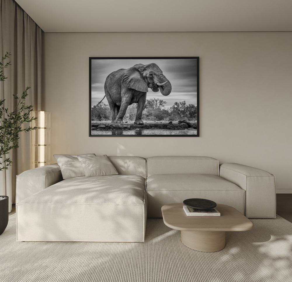Canvas print - Standing Proud over the sofa