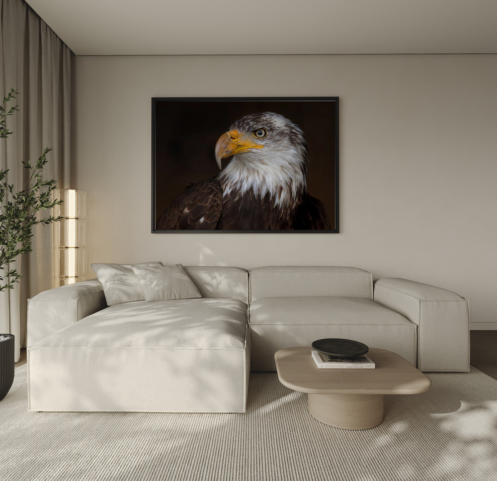 Canvas print - Caged - Bald Eagle over the sofa