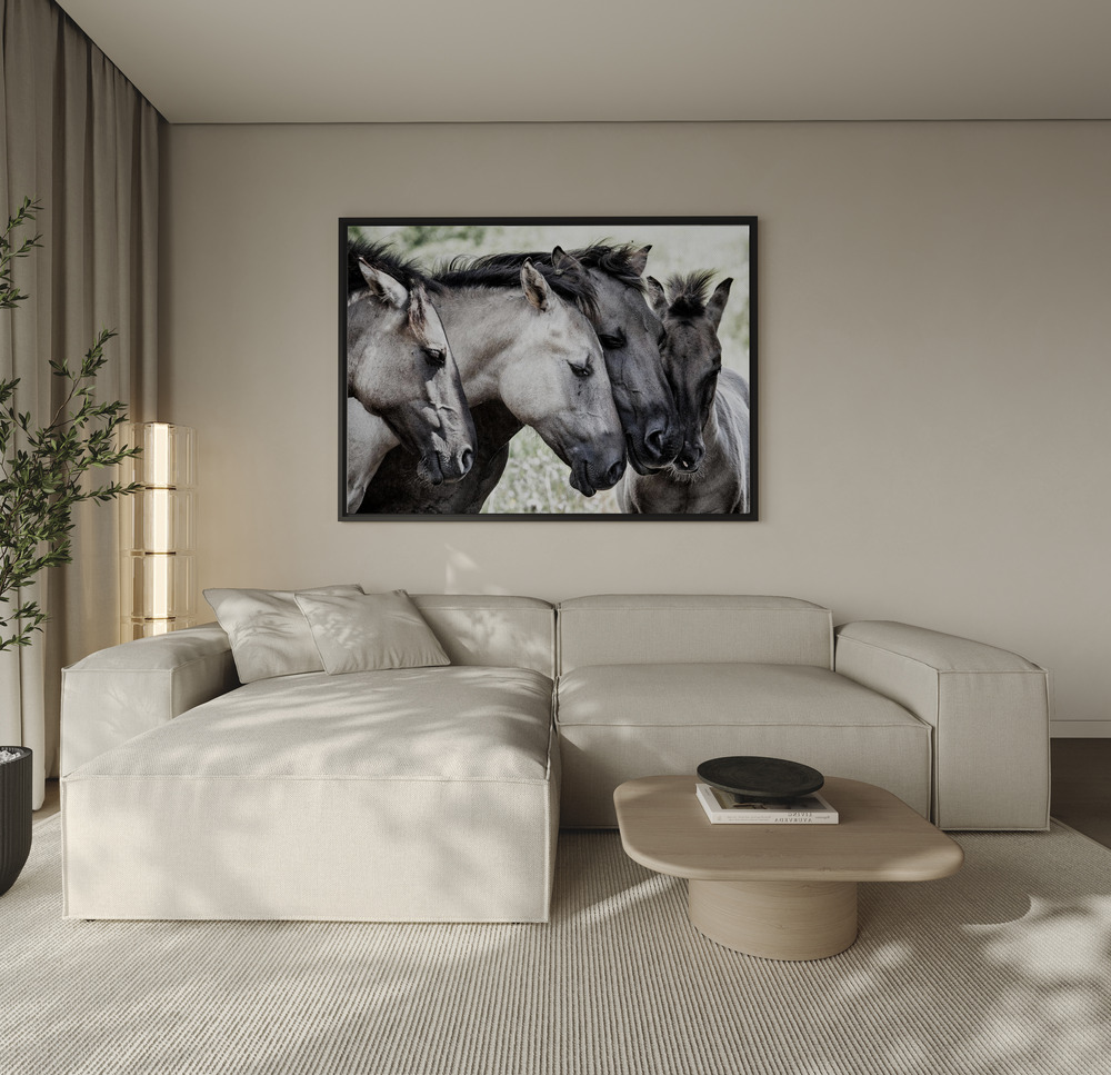 Canvas taulu - Four Konik Horses sohvan yli