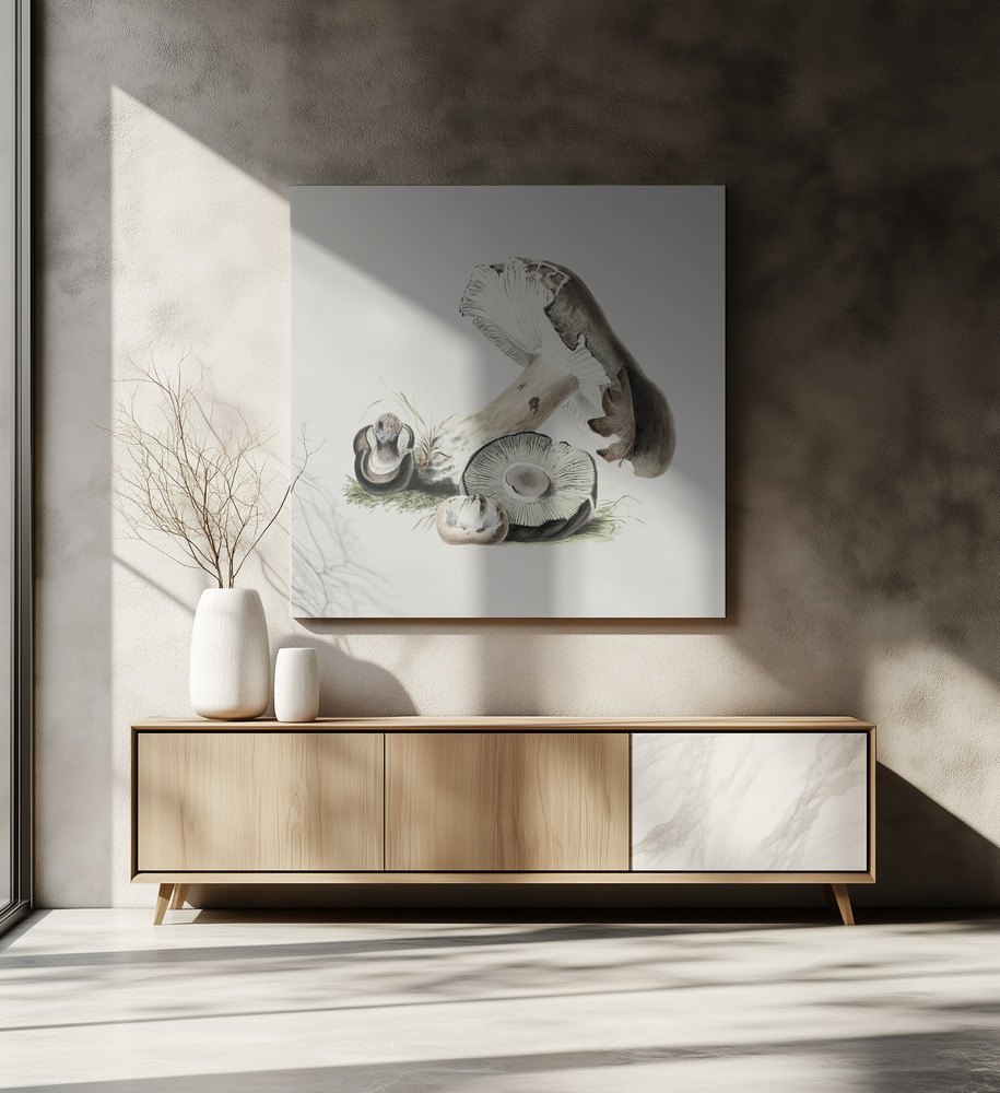 Canvas print - Vintage Agaricus Augustus Mushroom over dining table