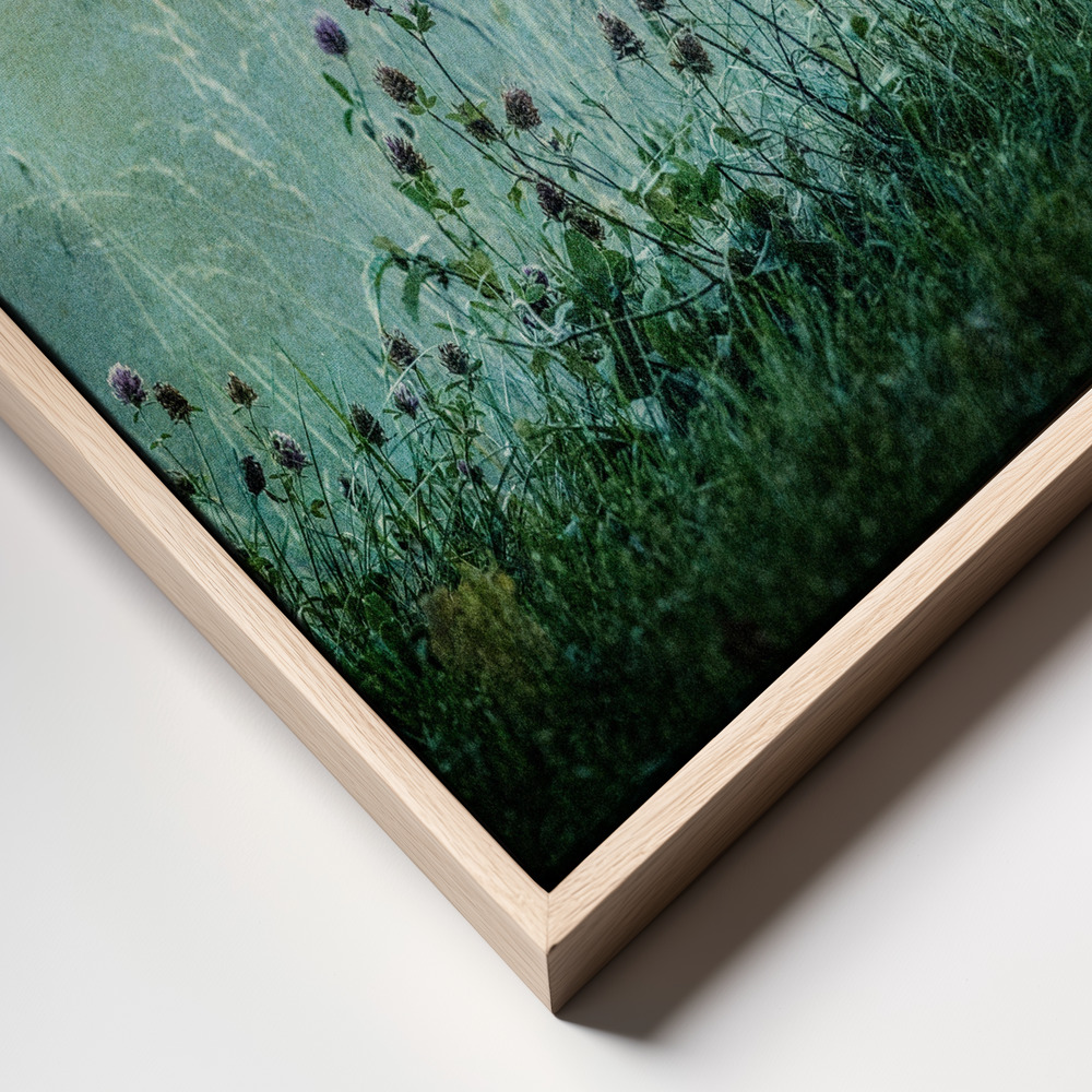 Canvas print - Autumn sunrise frame close up
