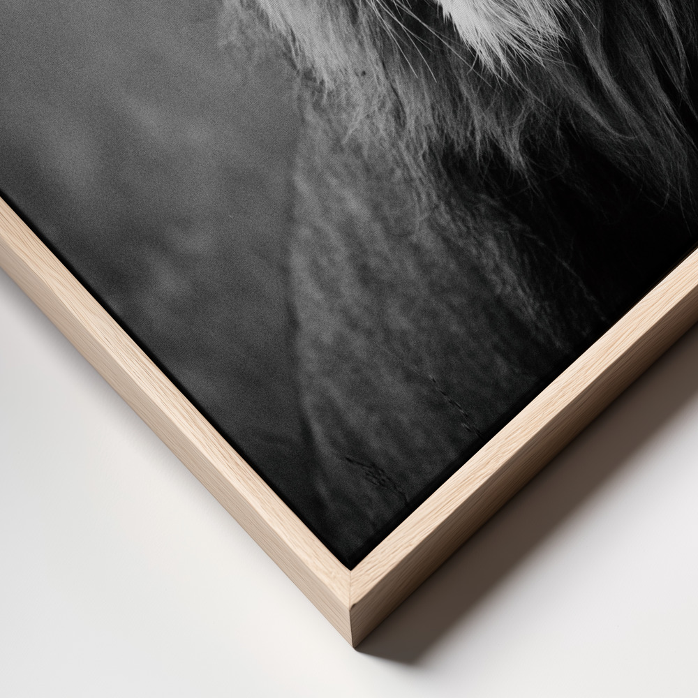 Canvas print - Regal frame close up