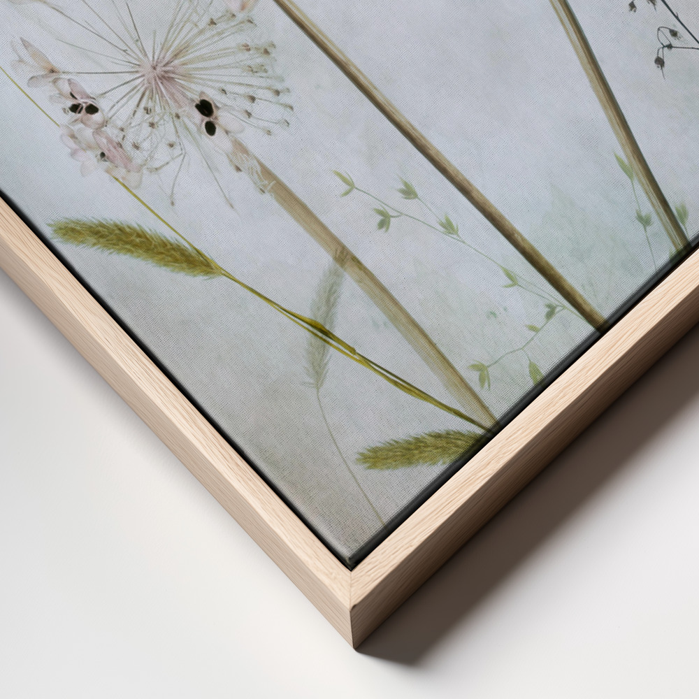 Stampe su tela - Allium frame close up