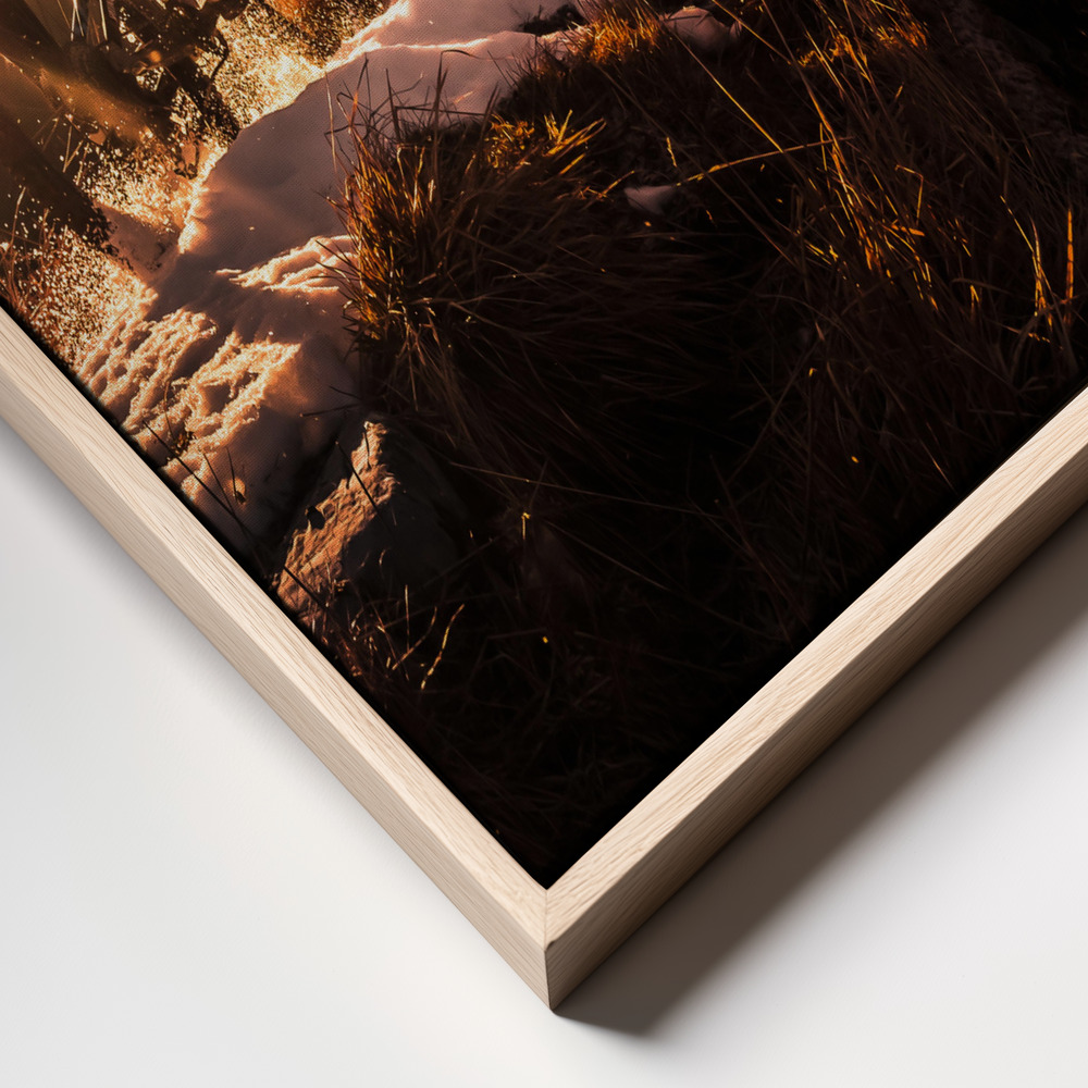 Canvas print - Take a Ride on the Sunny side frame close up