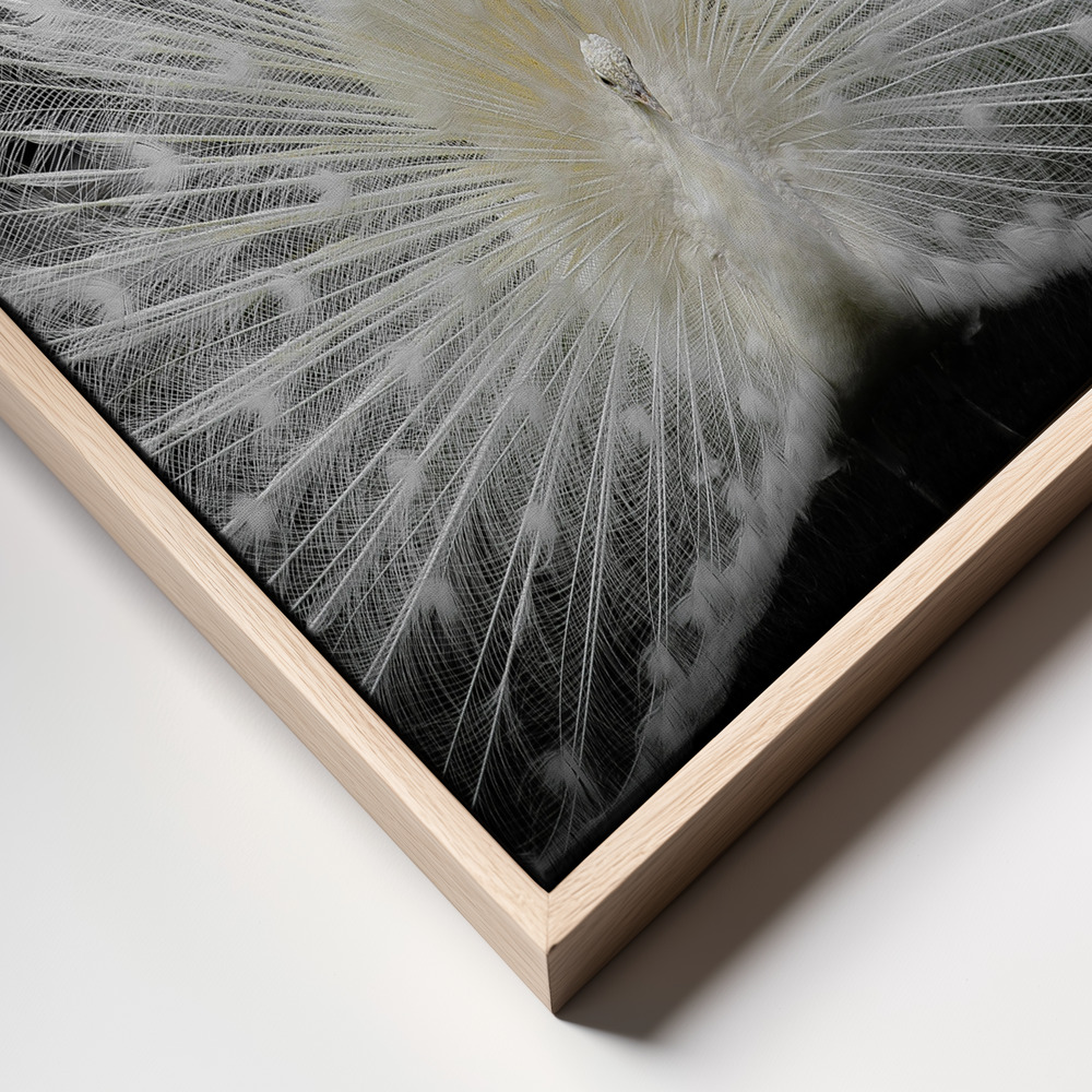 Canvas print - Black and white, frame close up