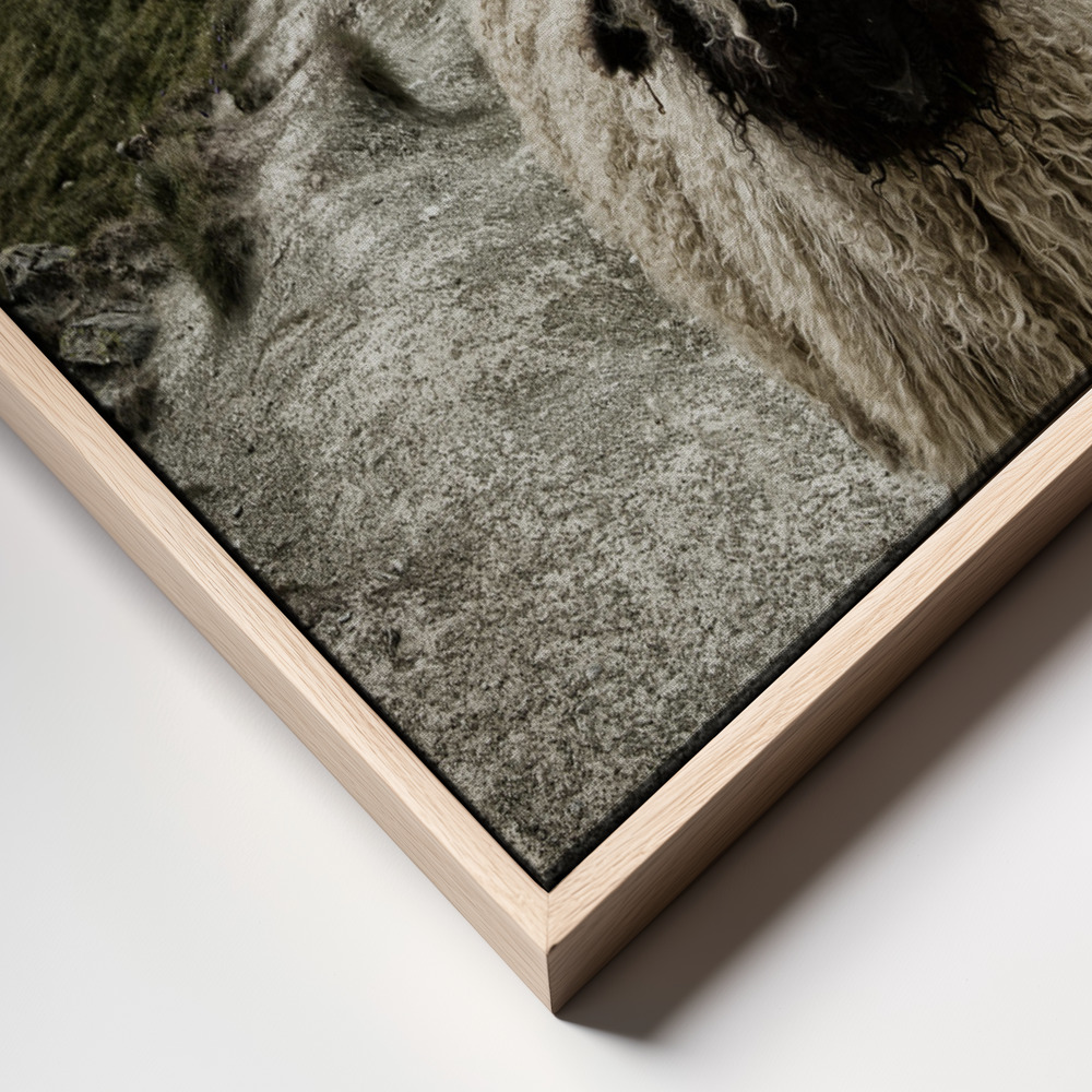 Canvas print - Out of my way frame close up