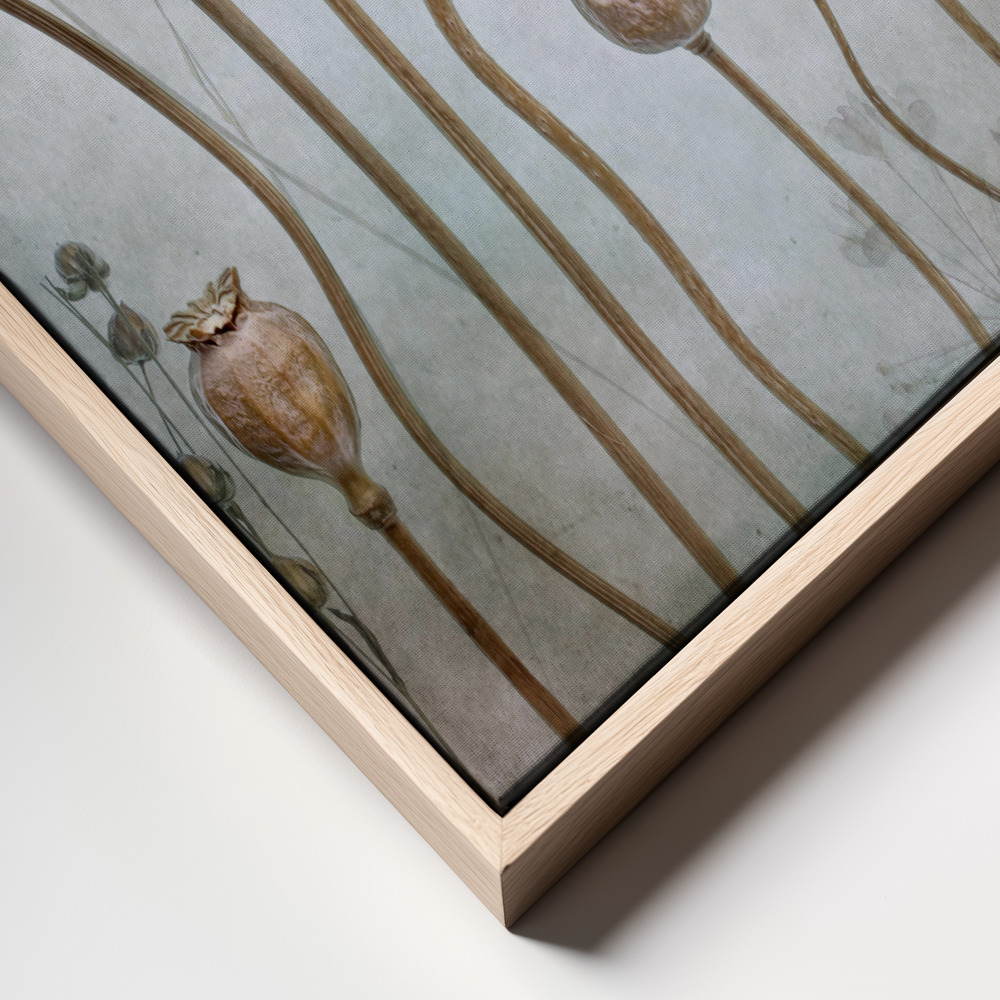 Toile - Papaver cadre en gros plan - cadre naturel
