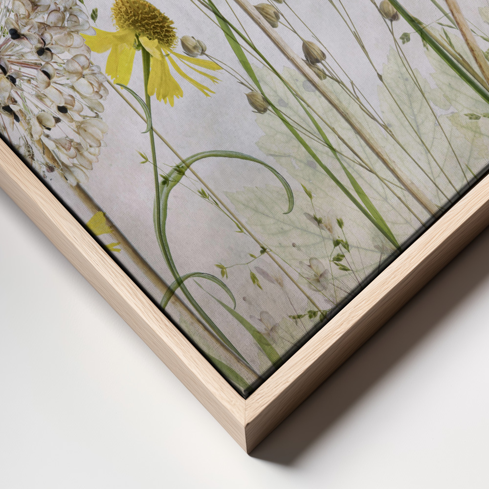 Toile - Alliums and heleniums cadre en gros plan - cadre naturel