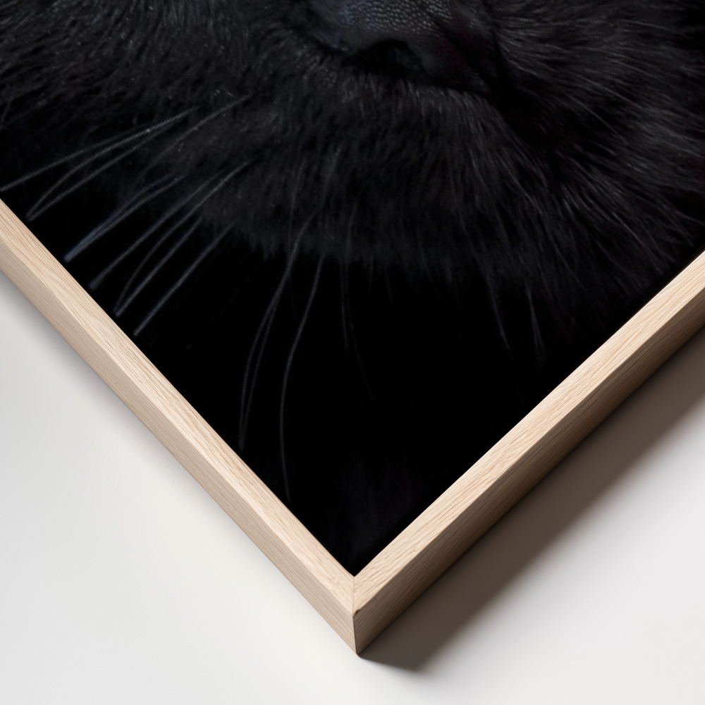 Canvas print - The hypnotist of the night frame close up