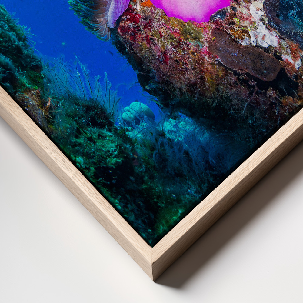 Canvas print - Sea life frame close up