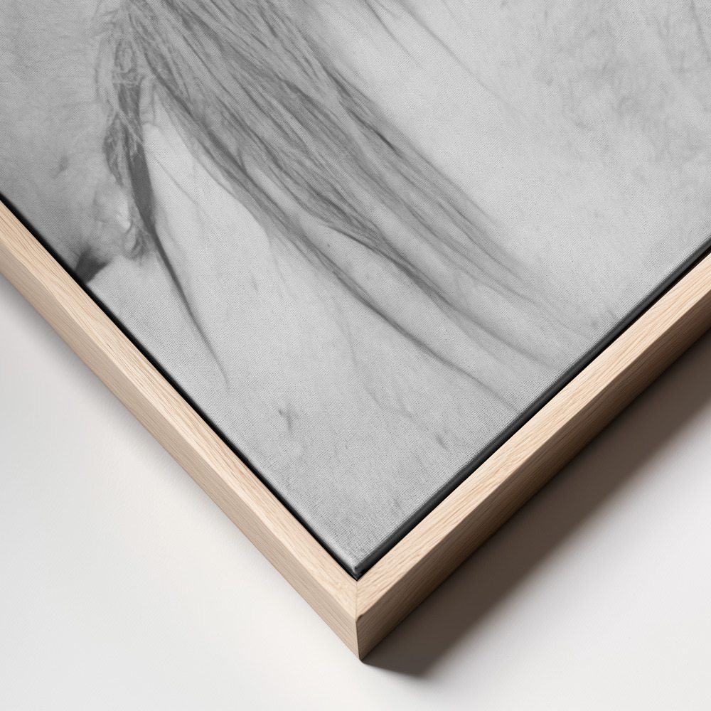 Canvas print - Horses frame close up