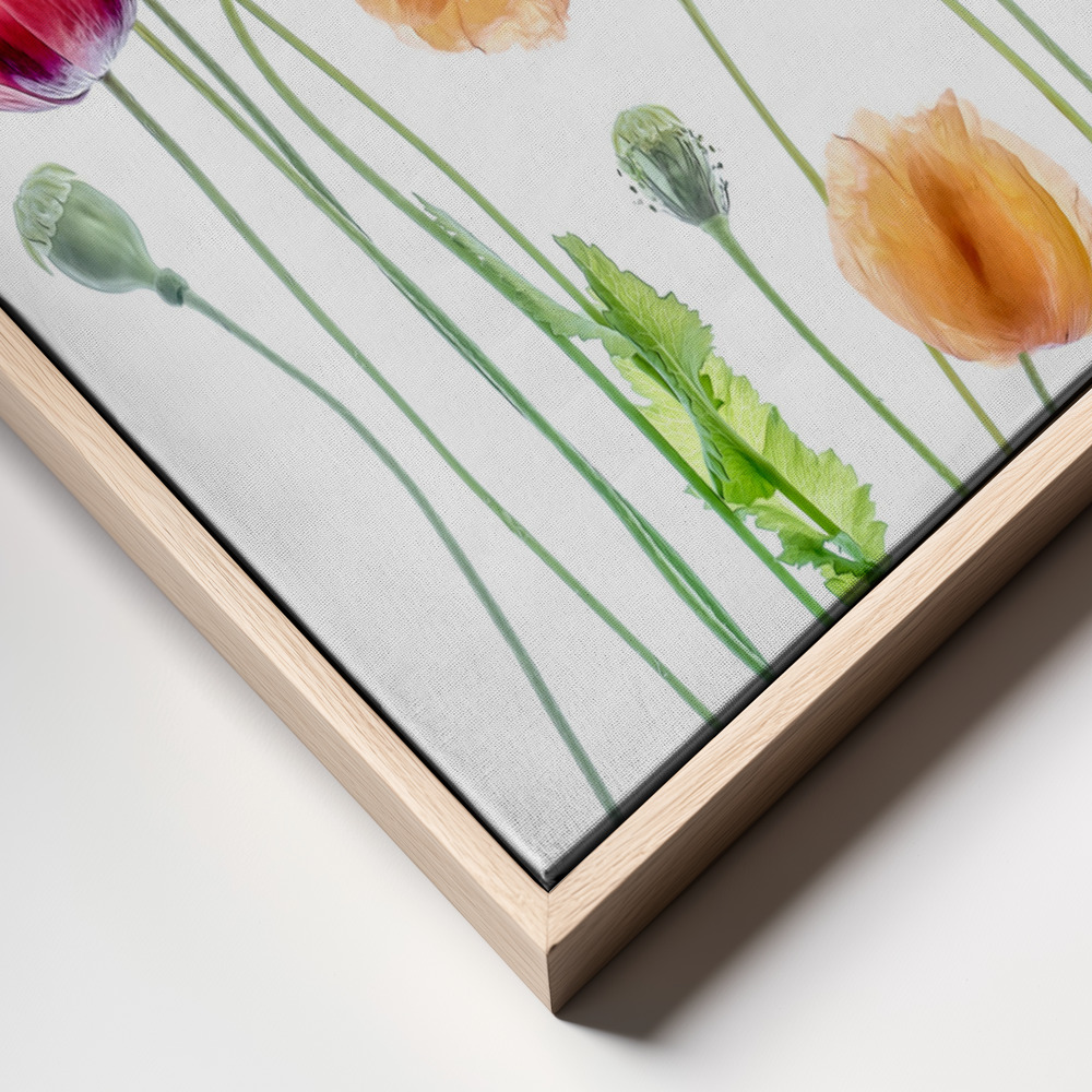 Canvas print - Poppies frame close up