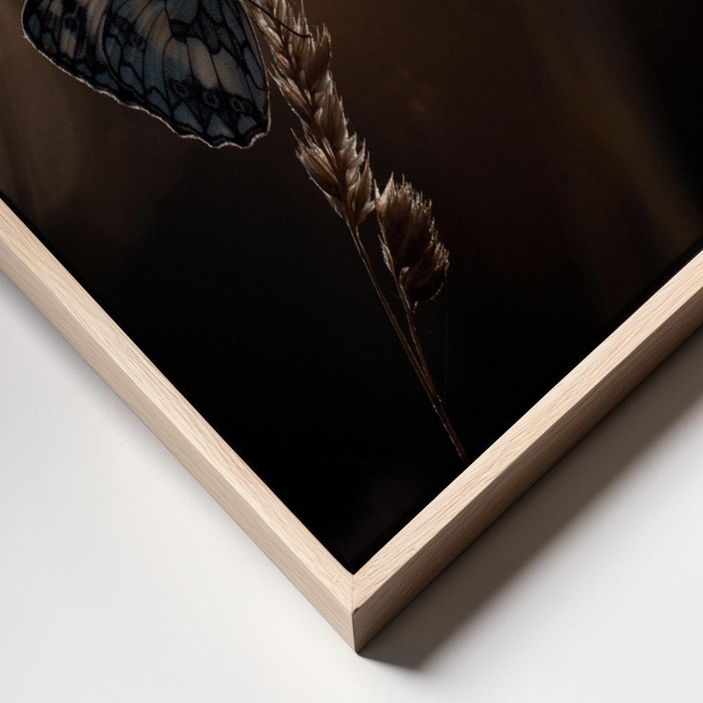 Canvas print - Communion avec les astres frame close up