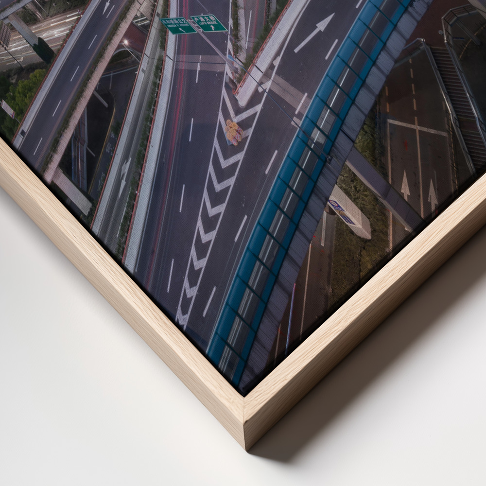 Canvas print - Nine Dragons frame close up