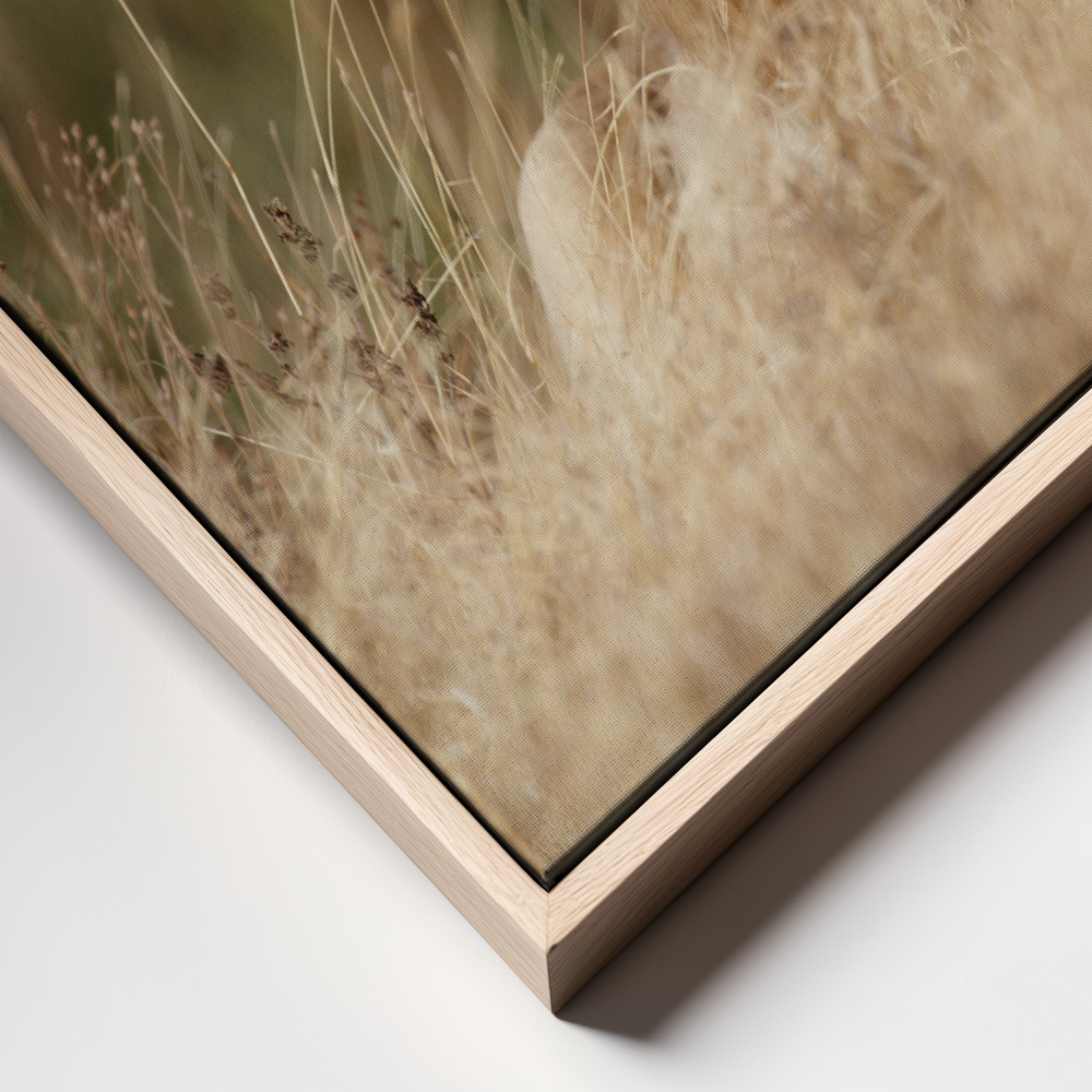 Canvas schilderi - Handsome! frame close up - natuurlijk frame