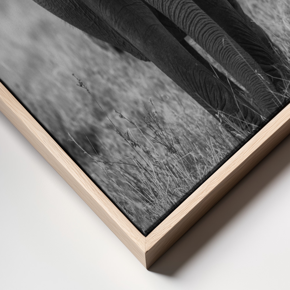 Canvas print - SINGULARITY frame close up