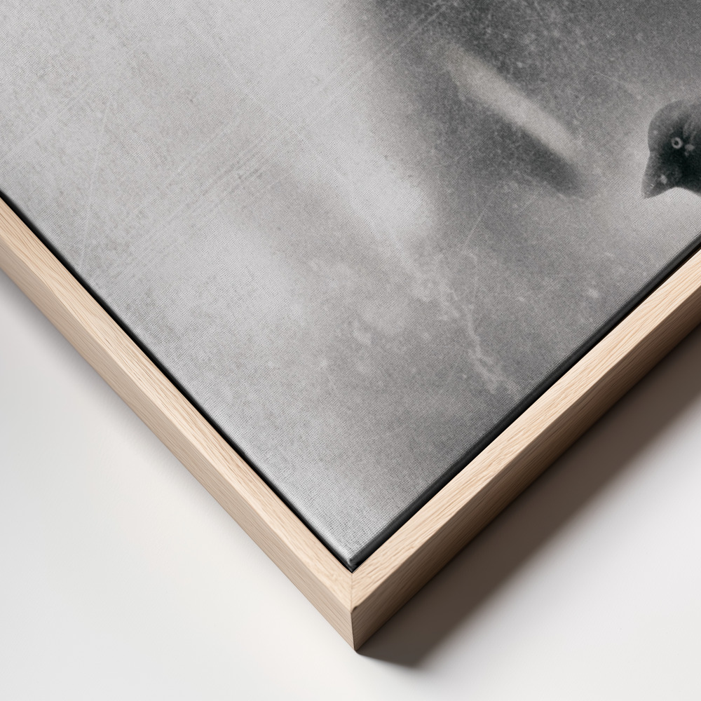 Canvas print - The angry bird... frame close up
