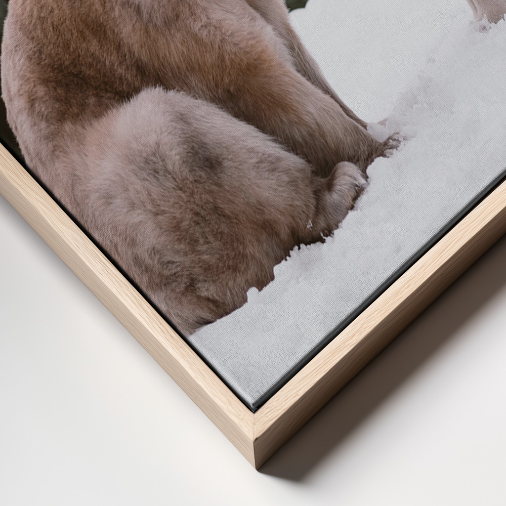 Canvas schilderi - The sitting bear frame close up - natuurlijk frame