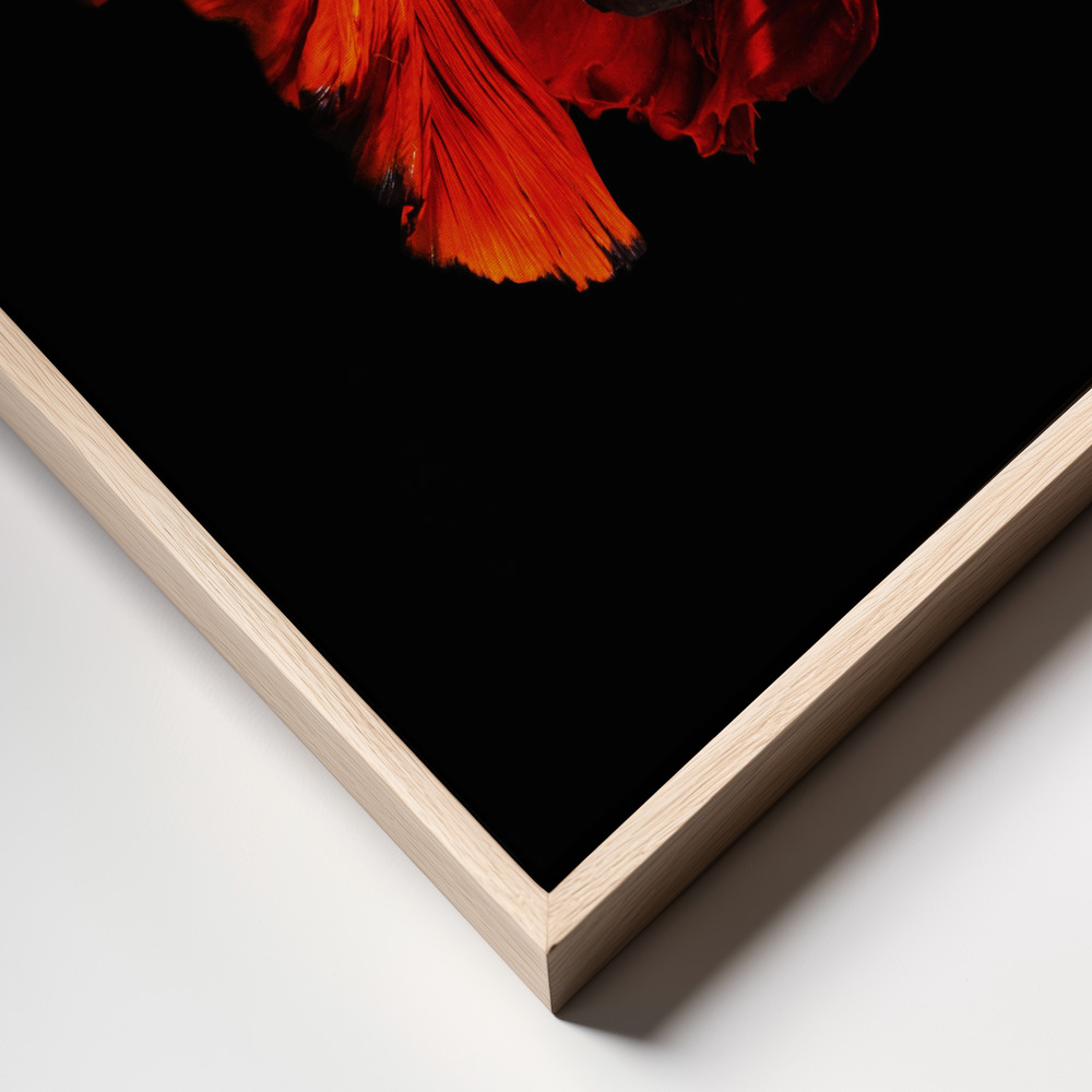 Canvas print - The Red frame close up