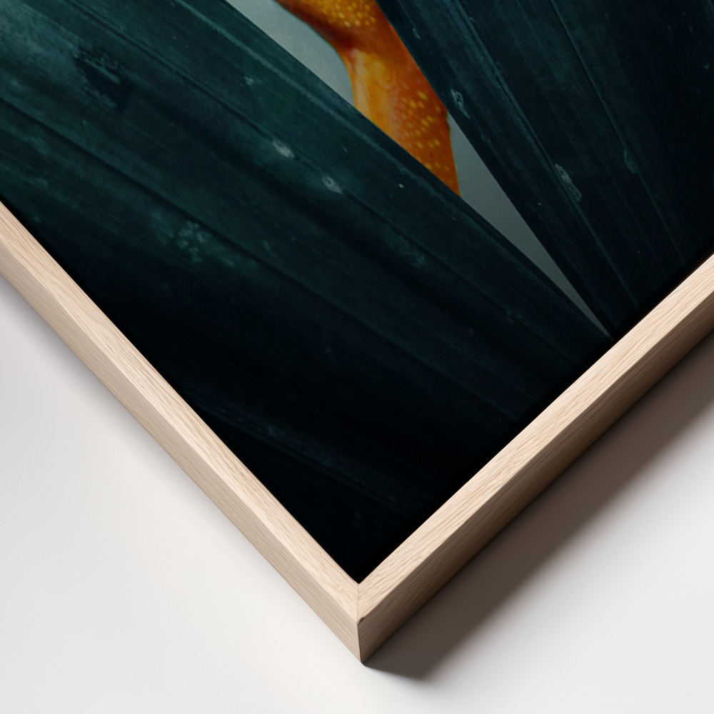 Canvas print - Gold Frog frame close up