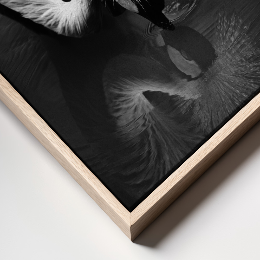Canvas print - The reflection frame close up