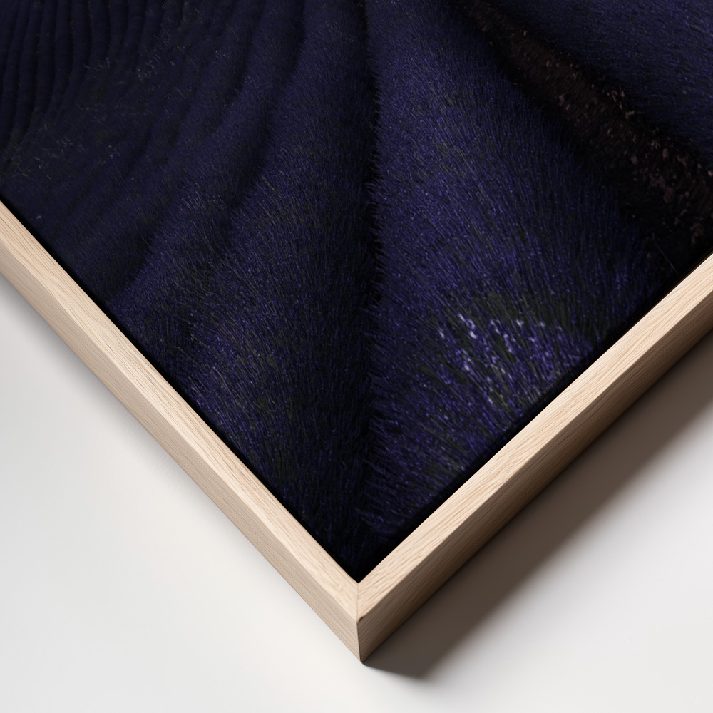 Toile - My lavander cadre en gros plan - cadre naturel