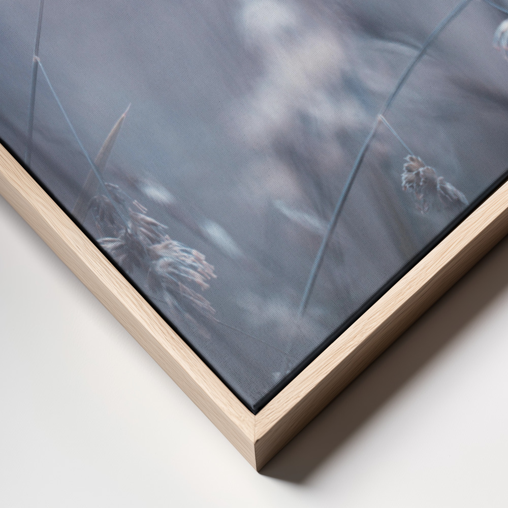 Canvas print - Patroller frame close up
