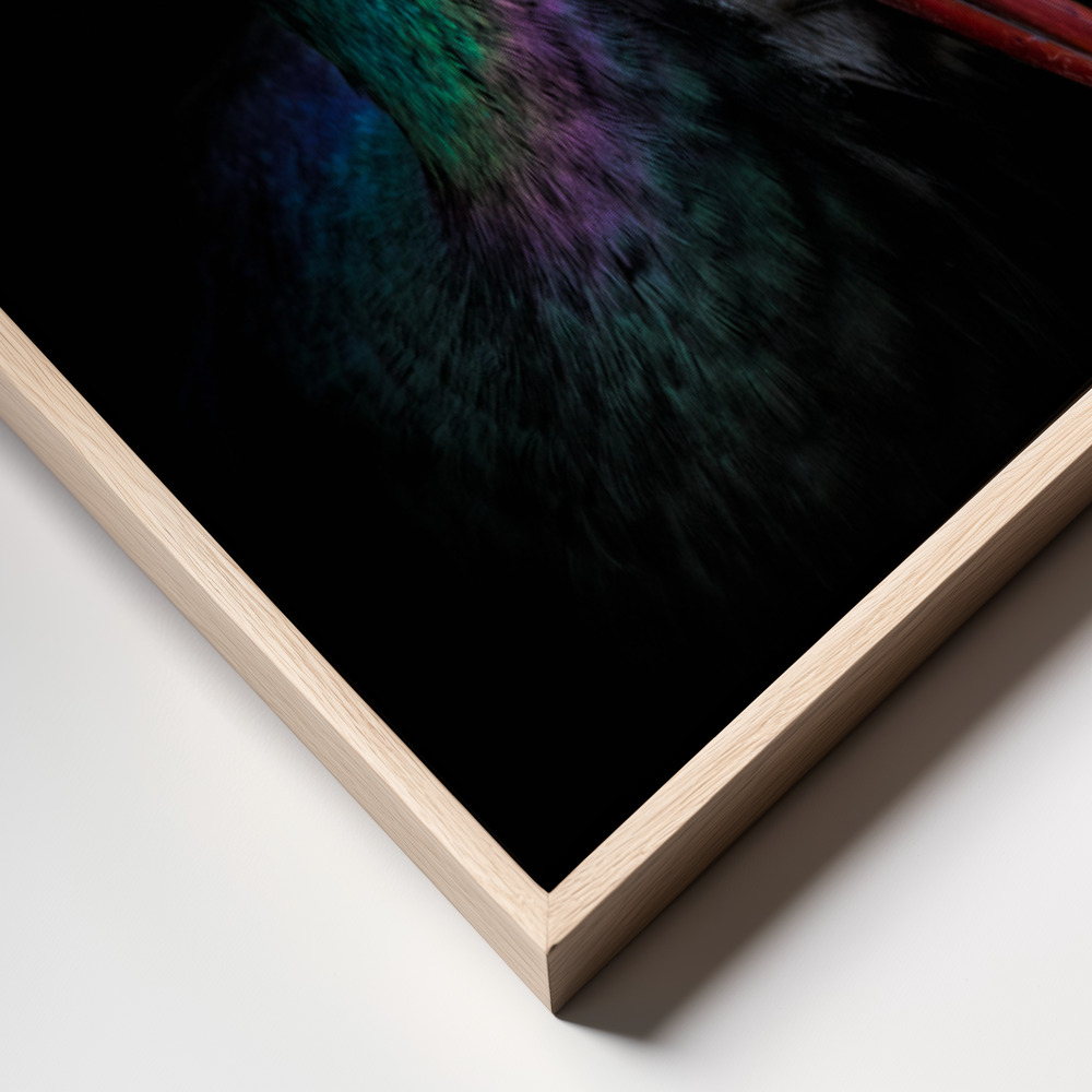 Canvas schilderi - The Black Stork frame close up - natuurlijk frame