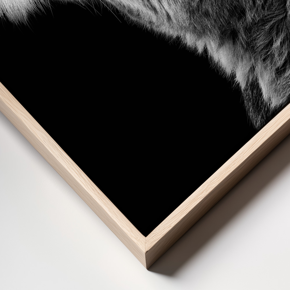 Canvas print - Looking Up frame close up