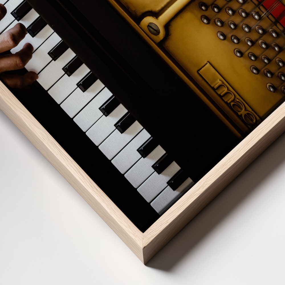 Canvas print - The pianist frame close up