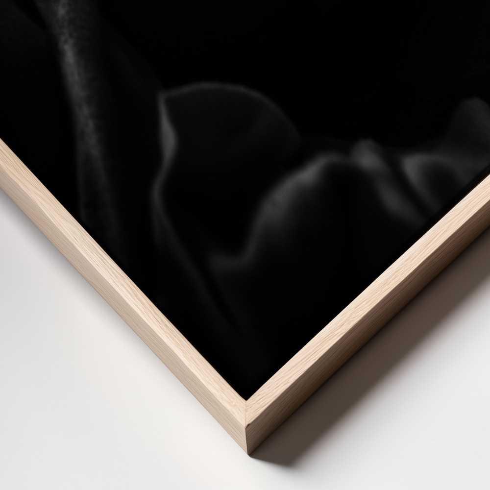 Canvas print - Nothing is happening :-( frame close up