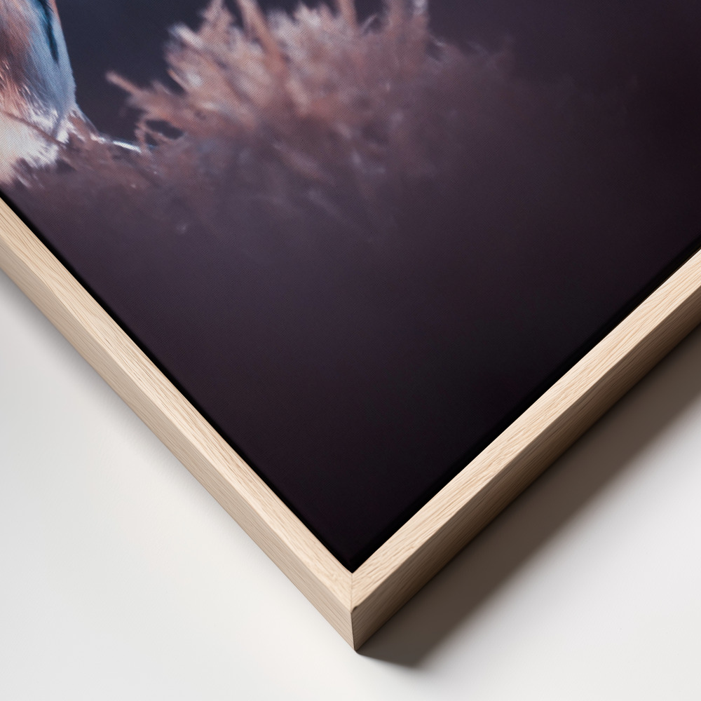 Canvas print - A bird world frame close up