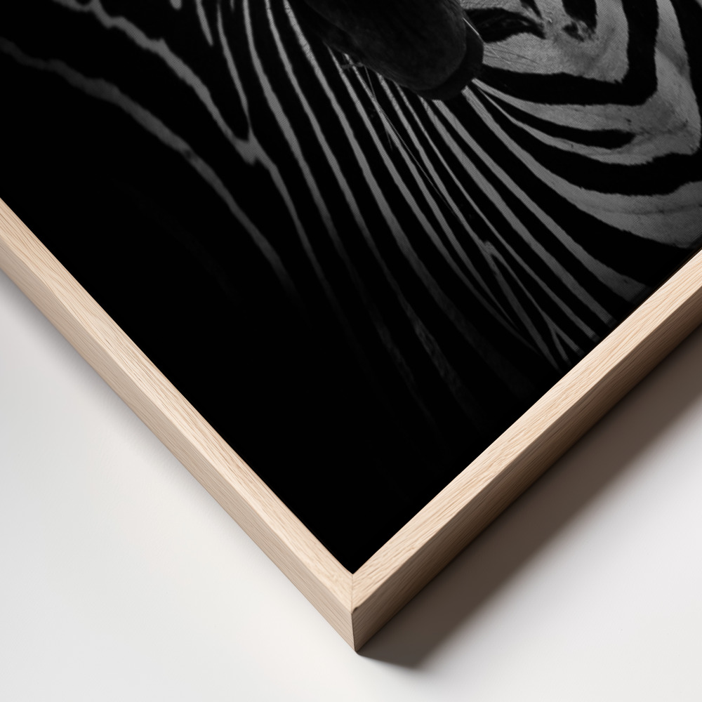 Canvas print - The Zebra frame close up