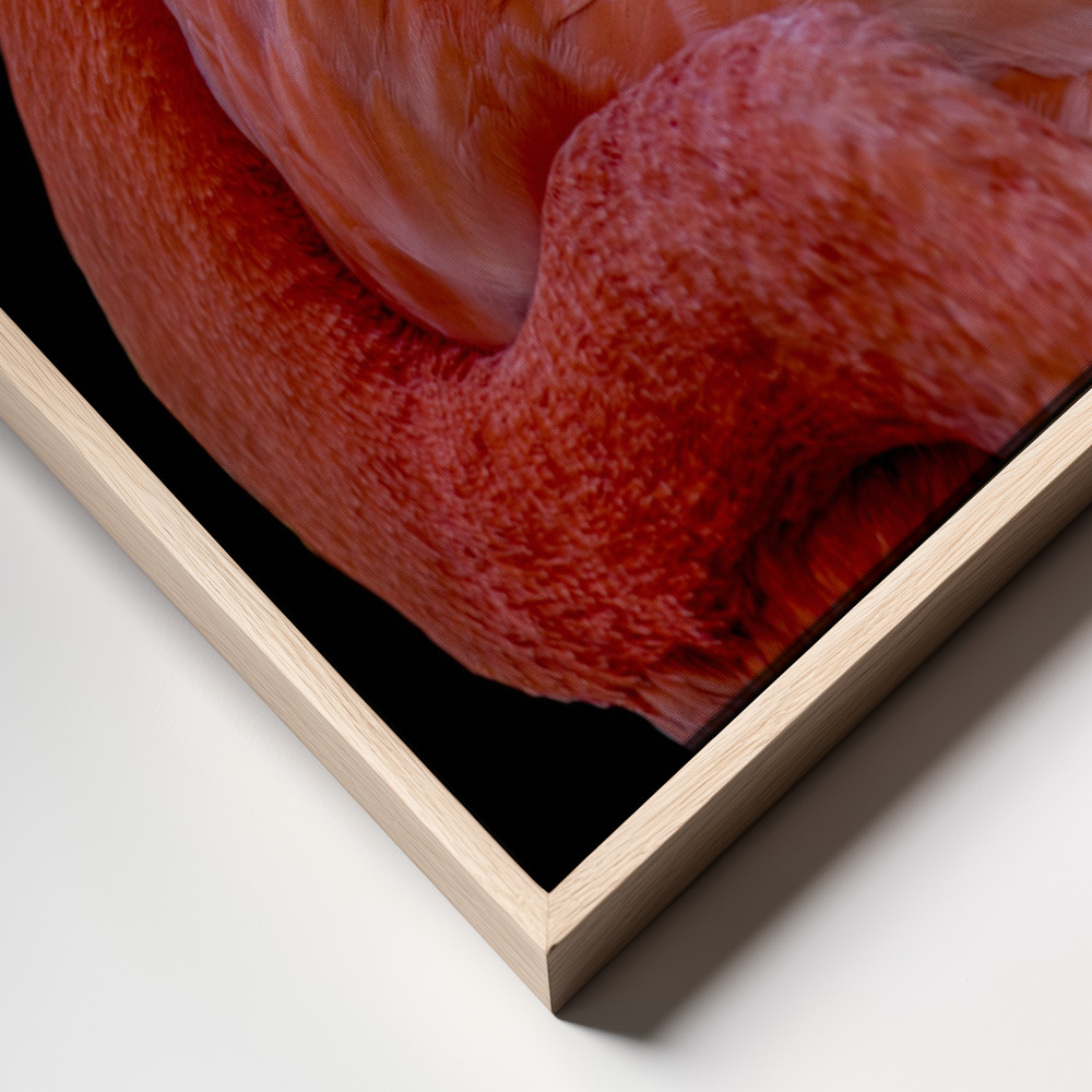 Canvas schilderi - Flamingo frame close up - natuurlijk frame