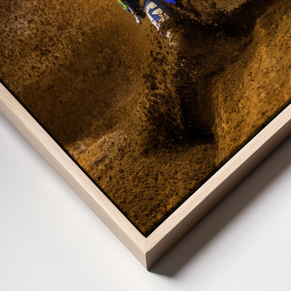 Canvas print - Desert King frame close up