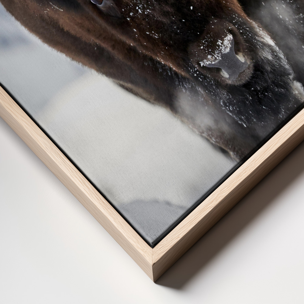 Canvas taulu - Bison Incoming kehys lähikuva - luonnollinen kehys