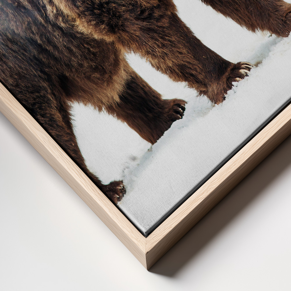 Canvas print - Bear frame close up
