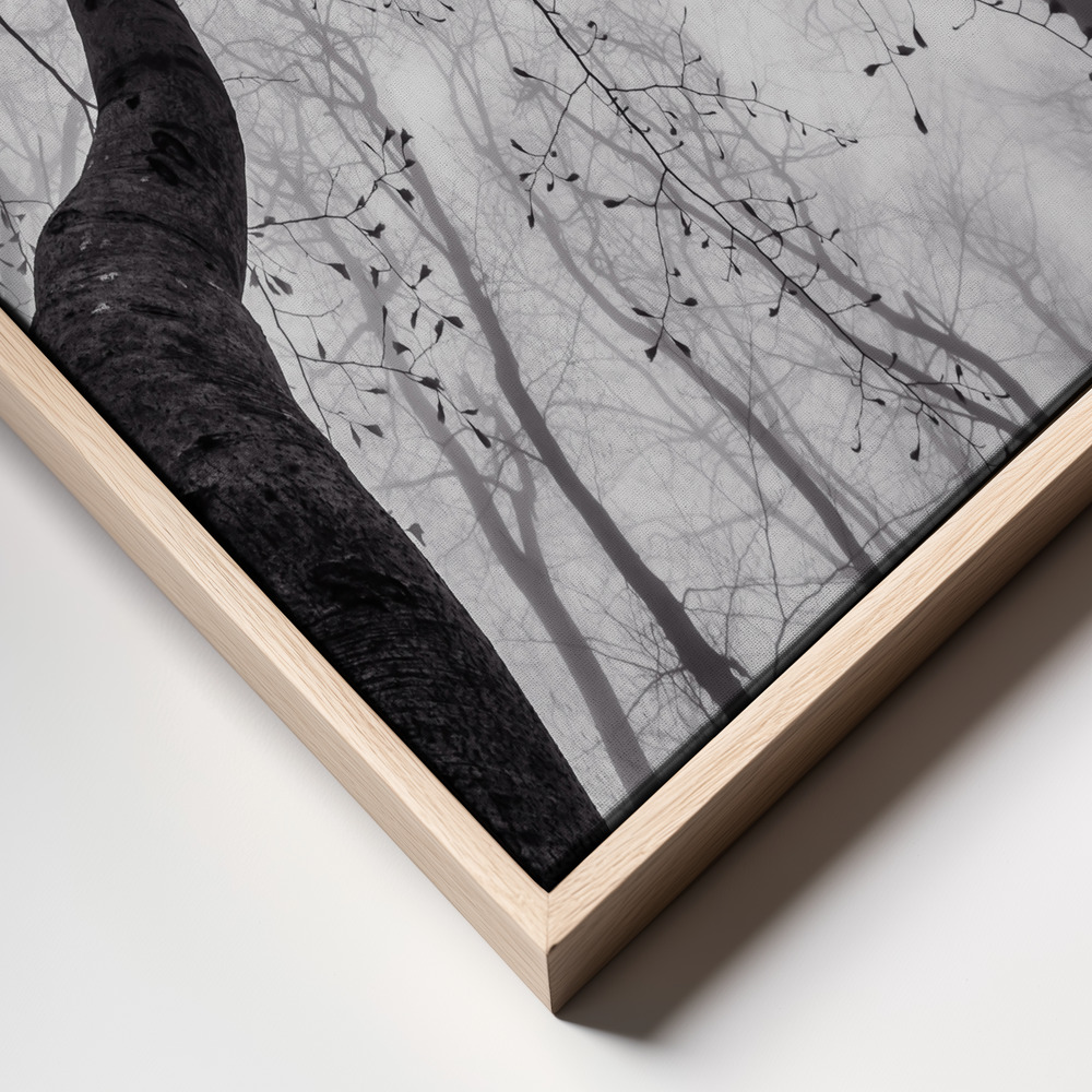 Canvas print - A view of the tree crown frame close up