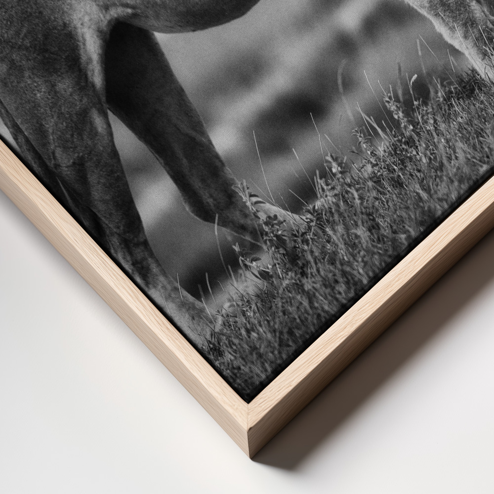Canvas print - Royal Pose frame close up