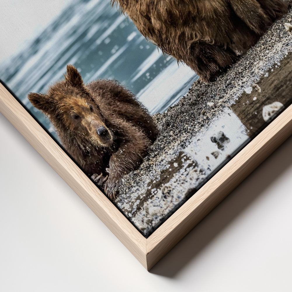 Canvas print - Opposites frame close up