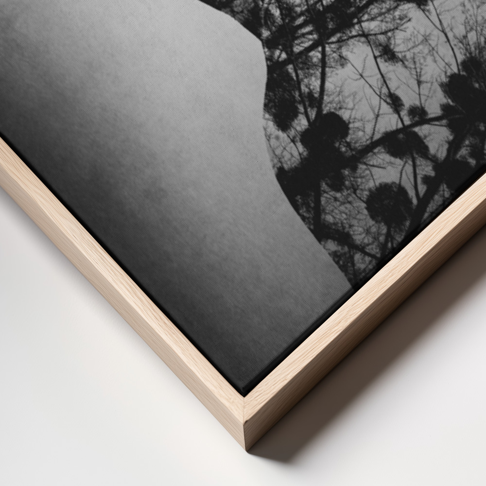 Canvas print - Essence of life frame close up