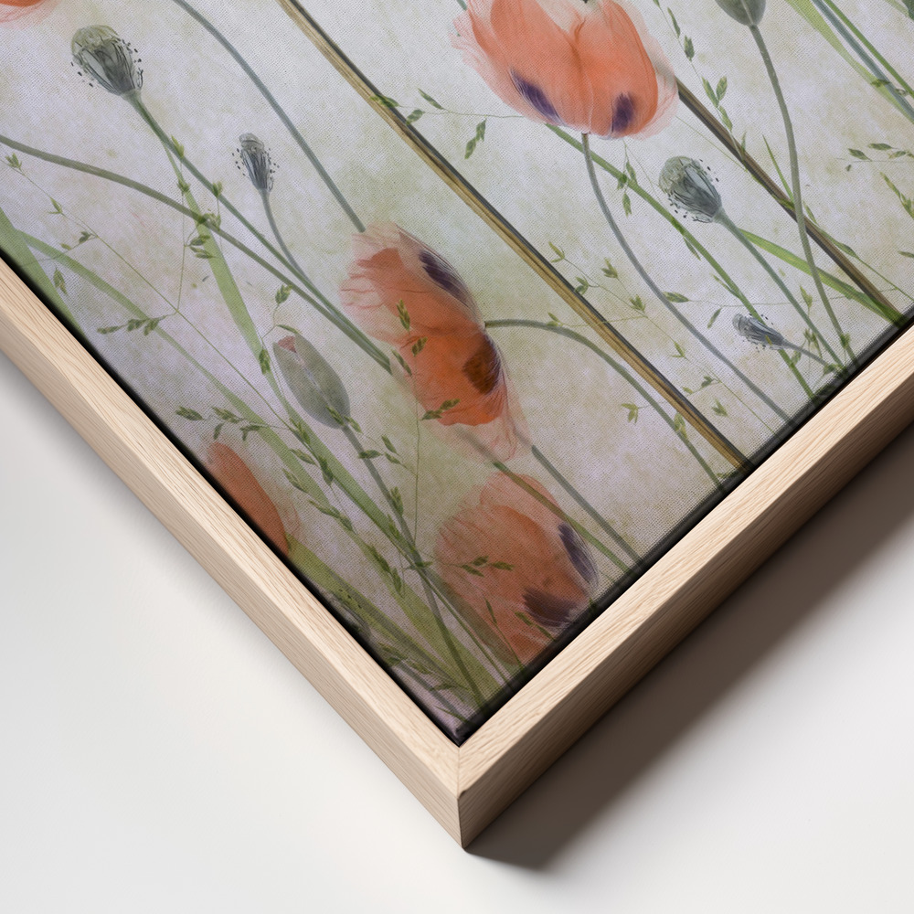 Canvas print - Poppy Meadow frame close up