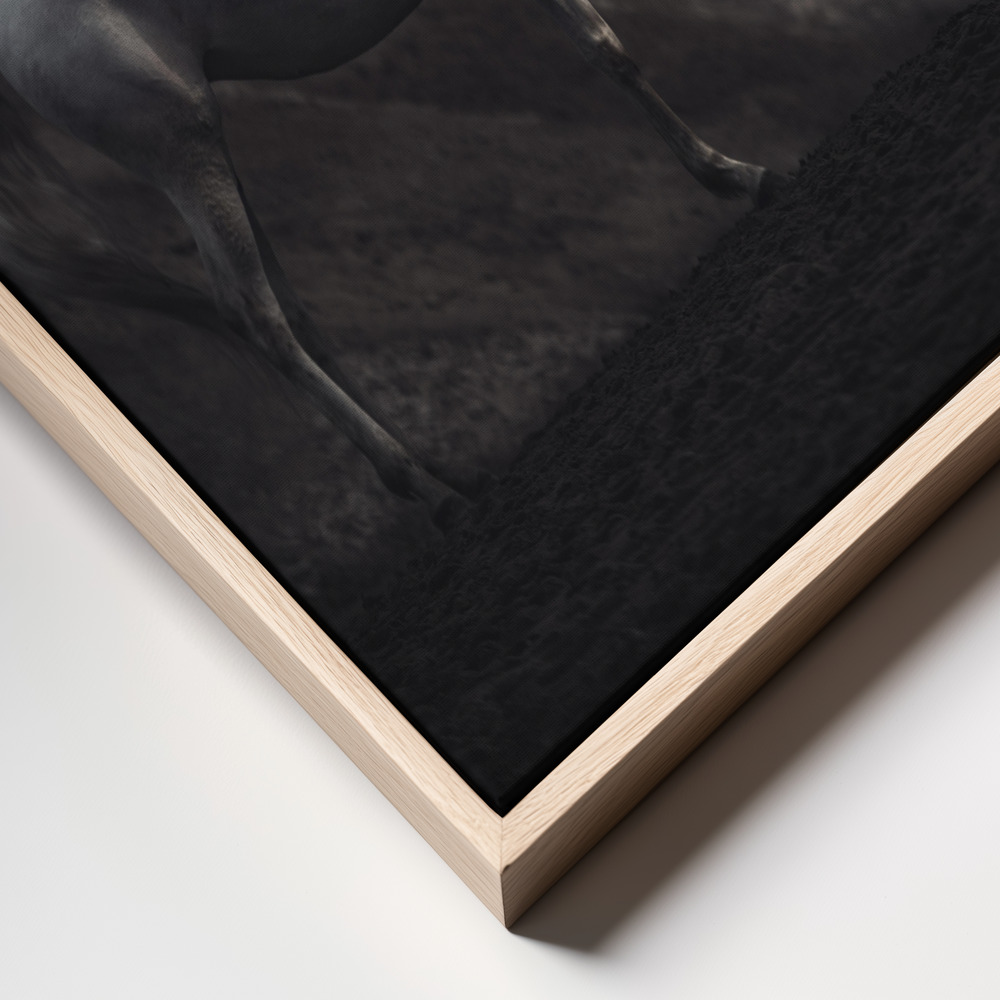 Canvas schilderi - SOLITAIRE frame close up - natuurlijk frame