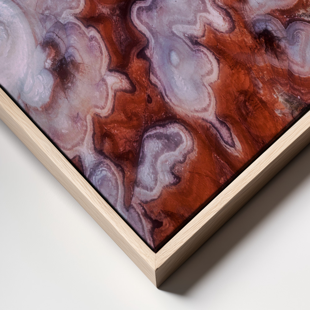 Canvas print - A Tree in the Desert frame close up