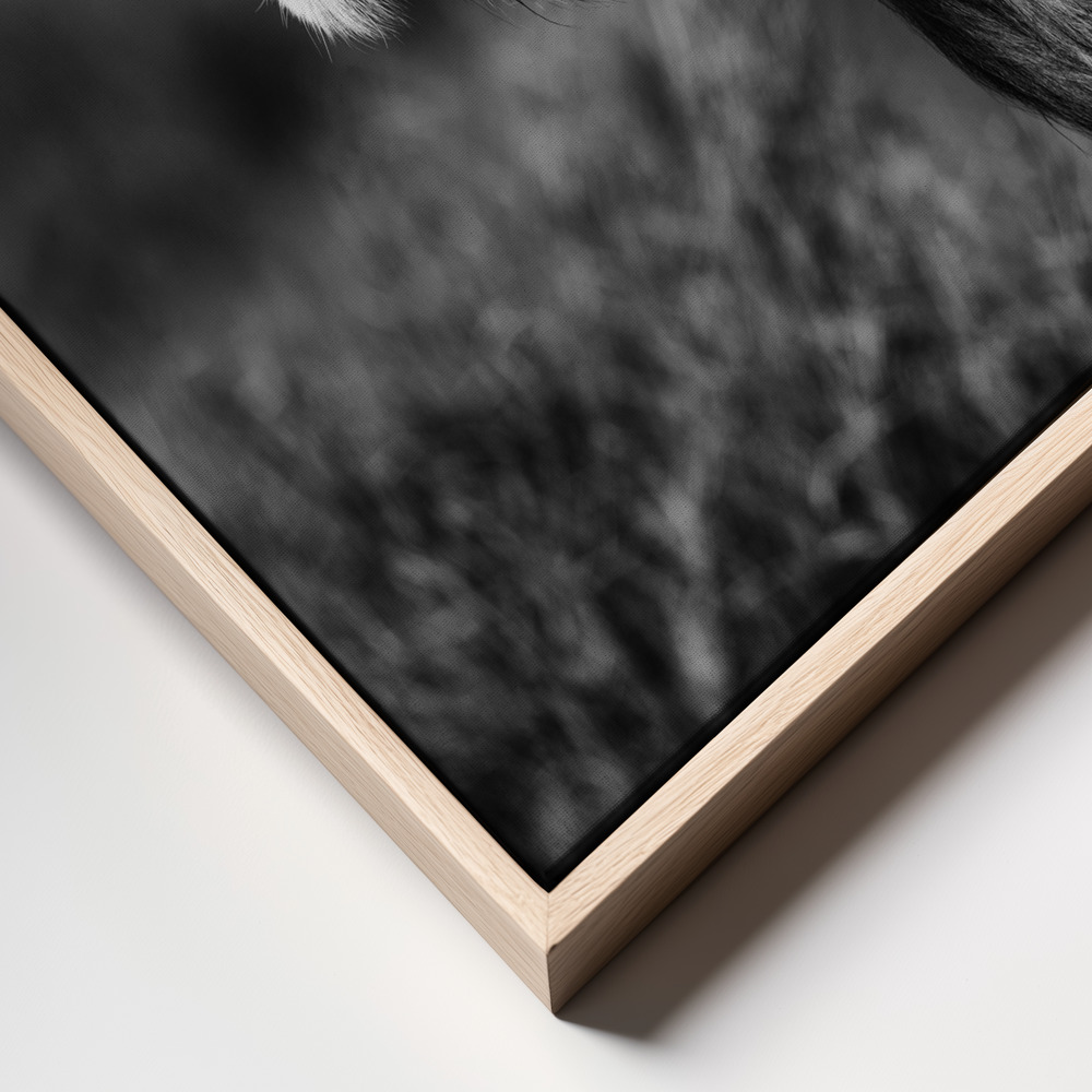 Canvas print - Breeze frame close up